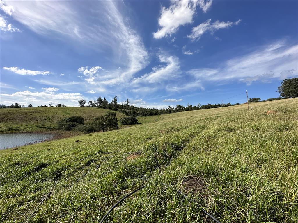 Terreno à venda, 20000m² - Foto 6