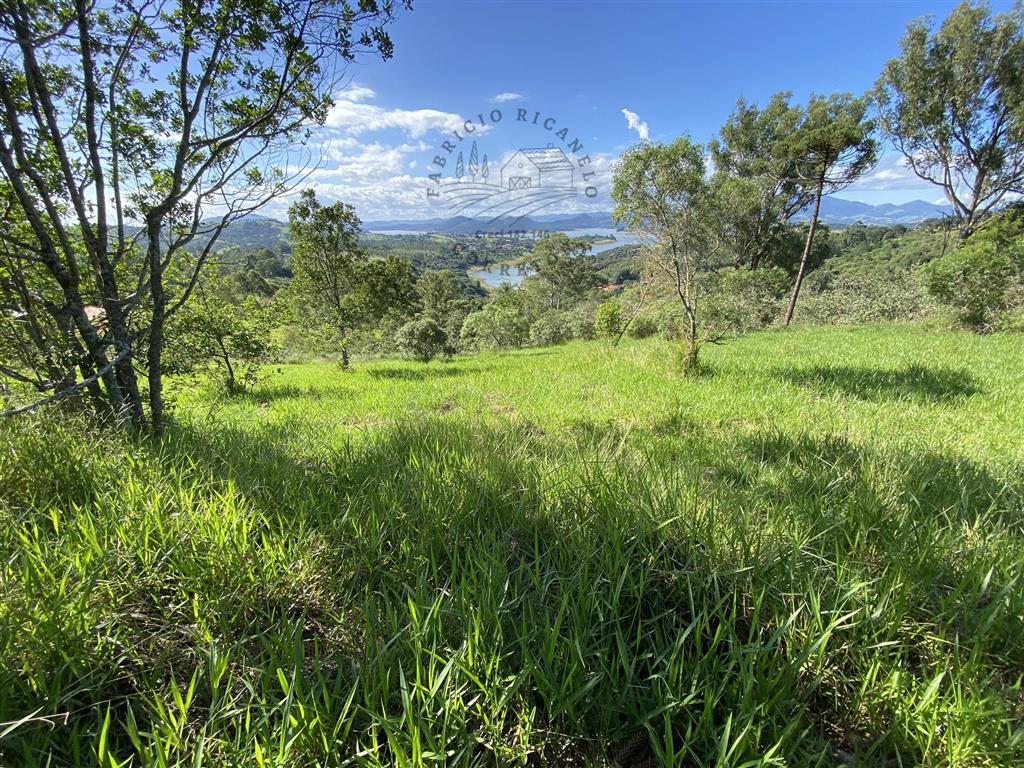 Terreno à venda, 20000m² - Foto 3