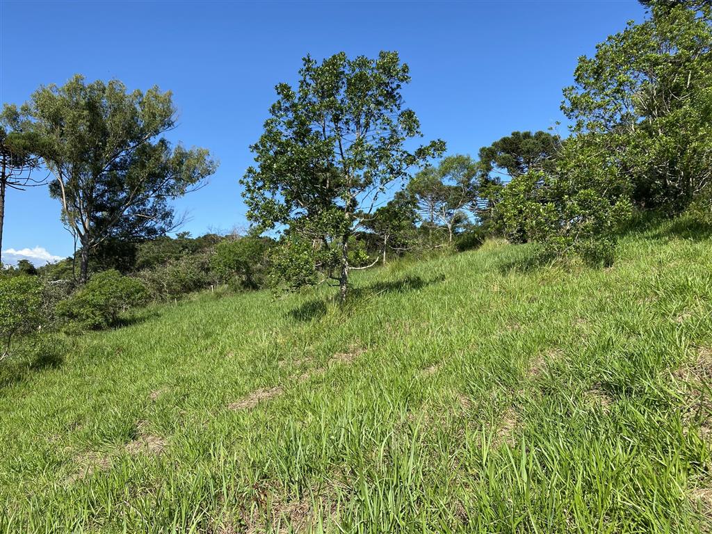 Terreno à venda, 20000m² - Foto 6