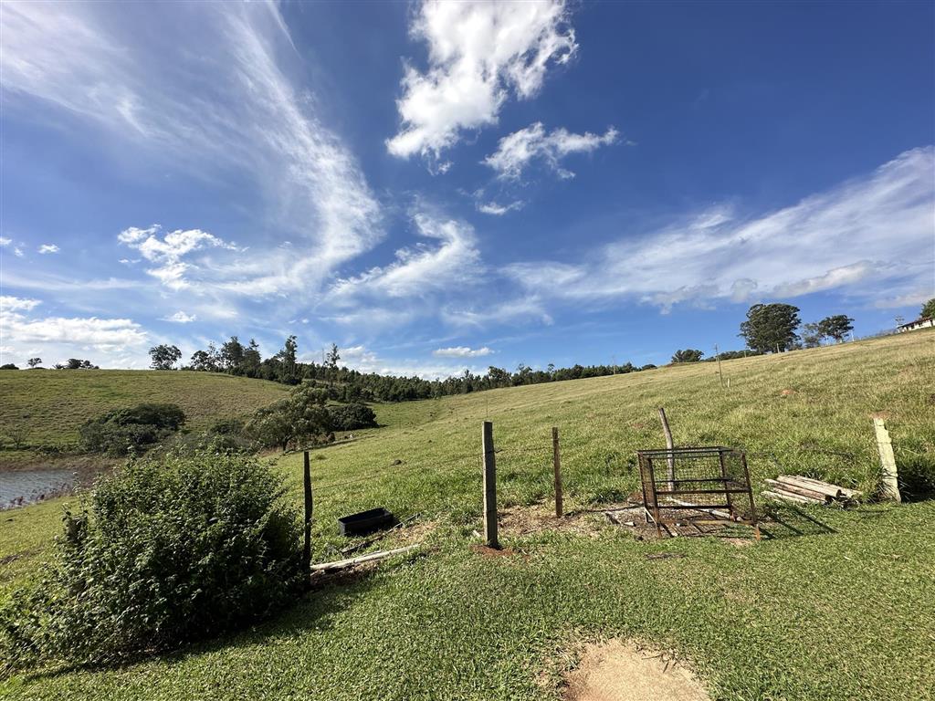 Terreno à venda, 20000m² - Foto 5