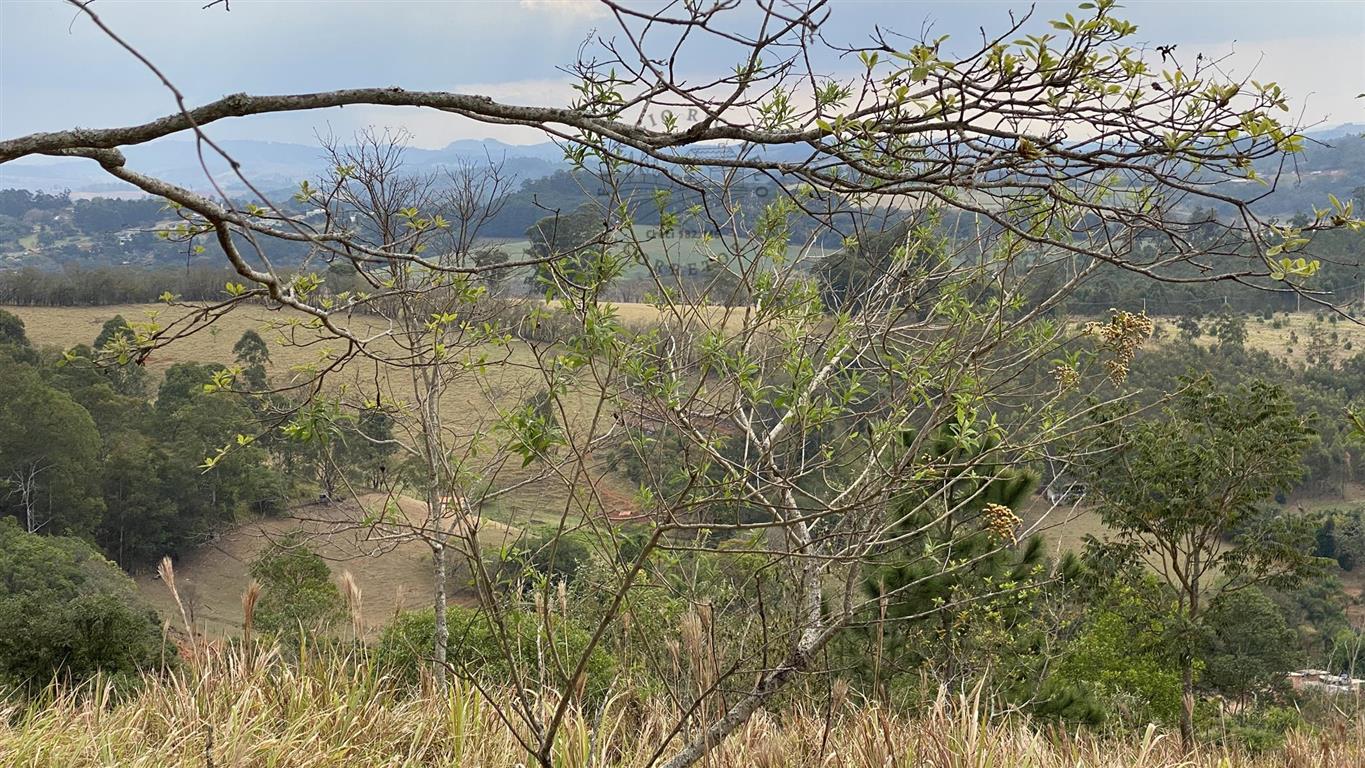 Terreno à venda, 20000m² - Foto 24