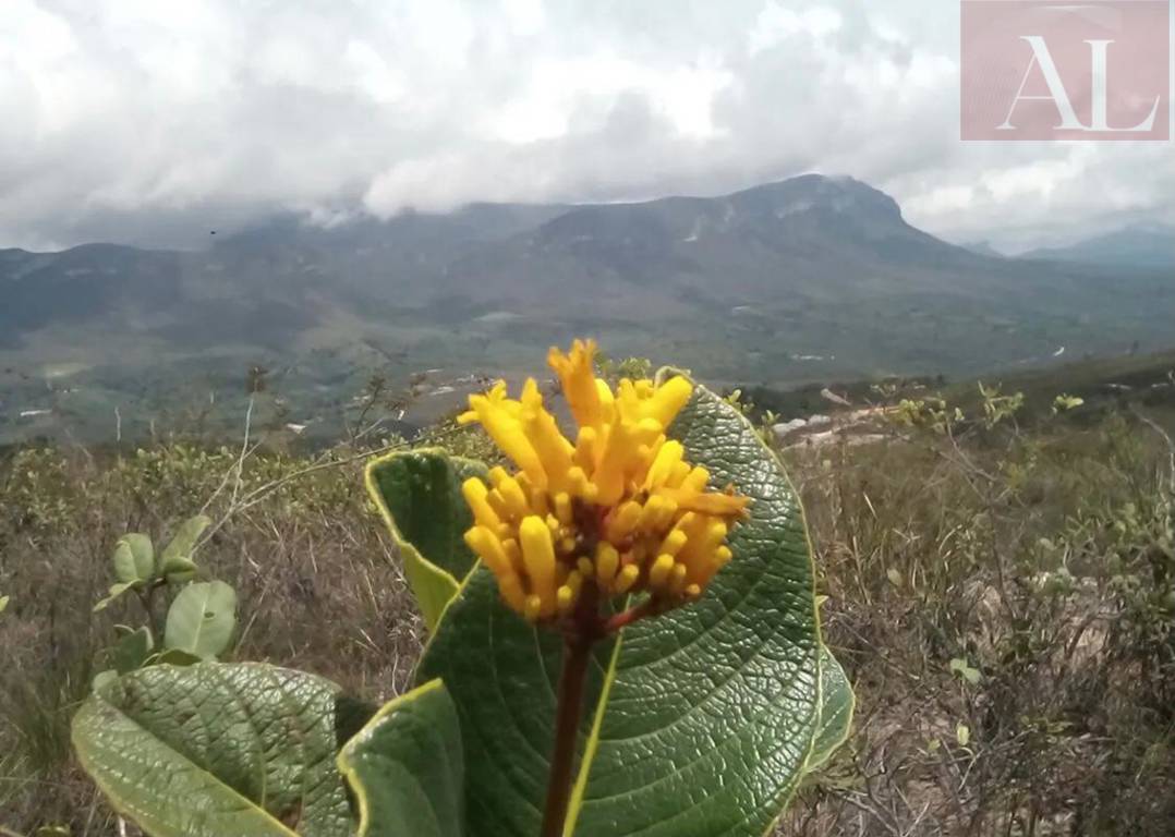 Lote/Terreno de 20000m² no bairro CAJERANA, em Ibicoara | Eu Corretor