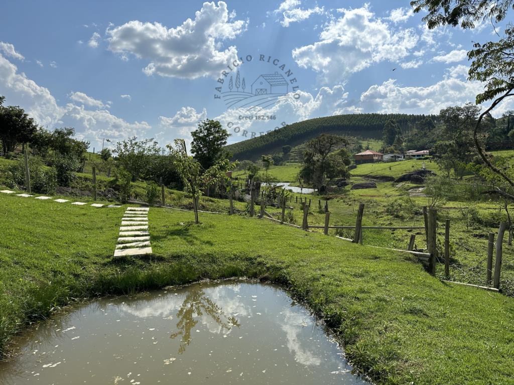 Fazenda à venda com 3 quartos, 1567m² - Foto 9