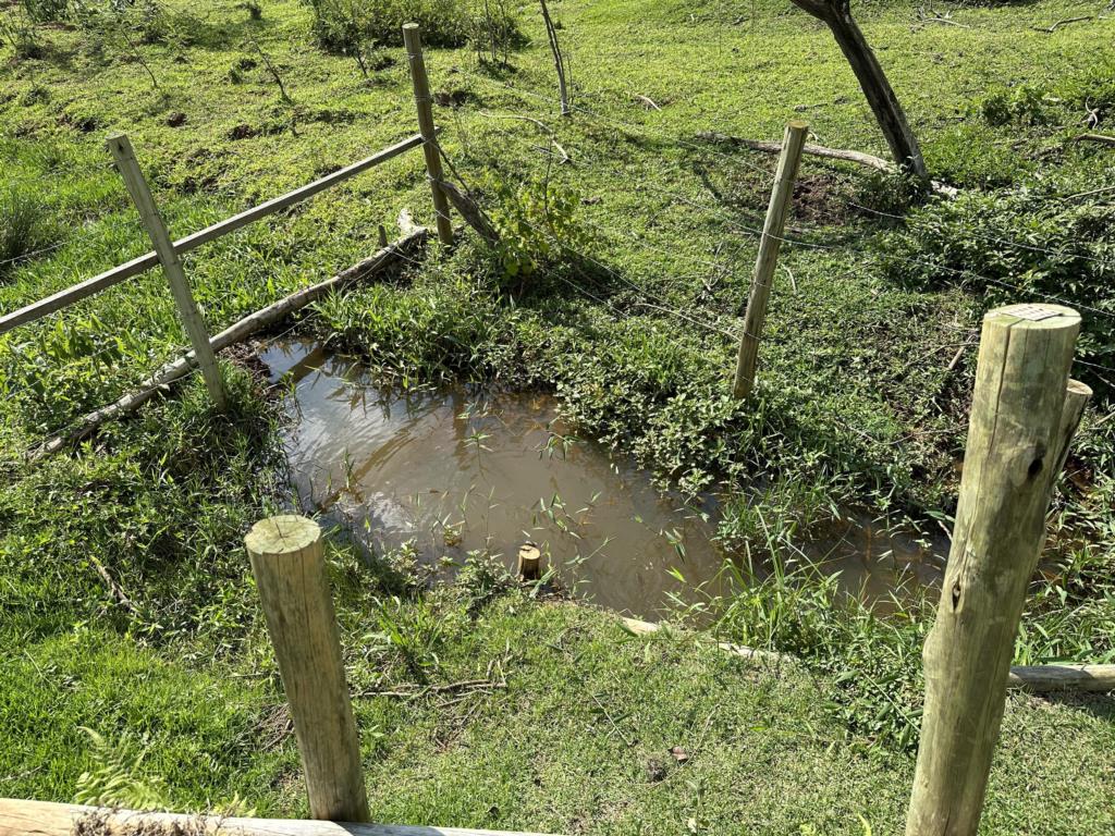 Fazenda à venda com 3 quartos, 1567m² - Foto 7