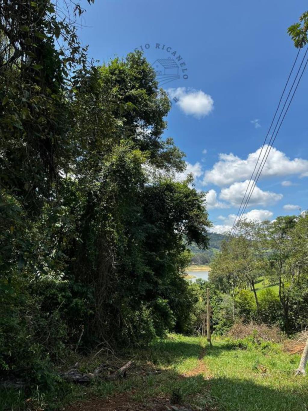 Casa para alugar com 3 quartos, 2000m² - Foto 18