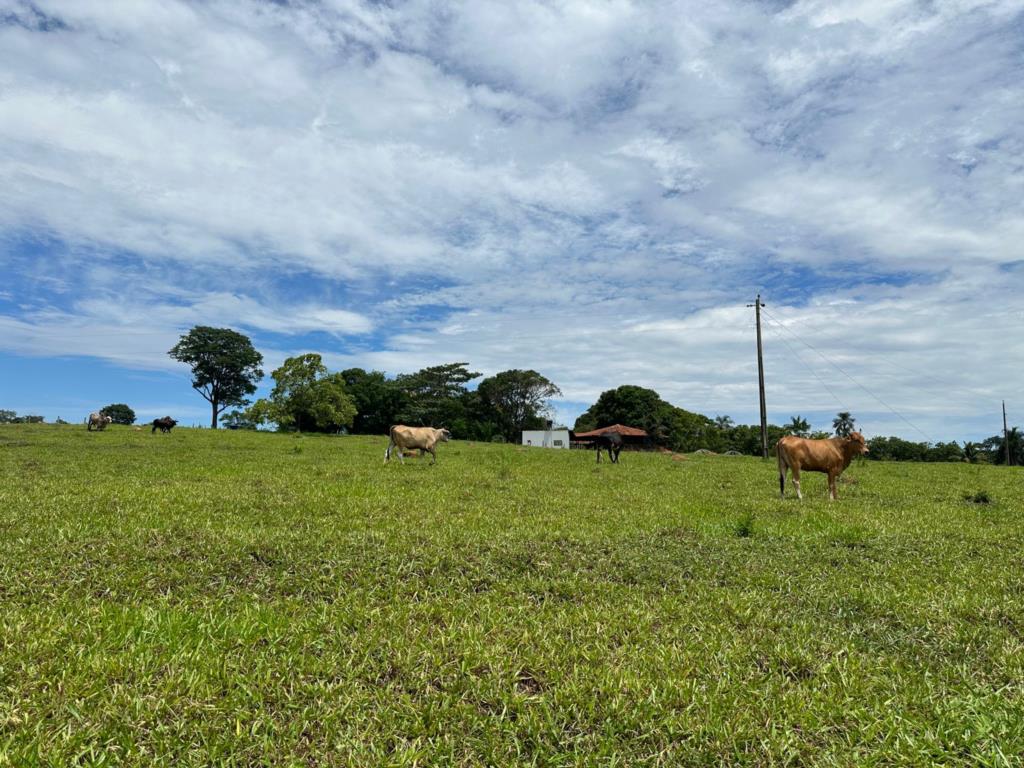 Fazenda à venda com 5 quartos, 67200m² - Foto 7