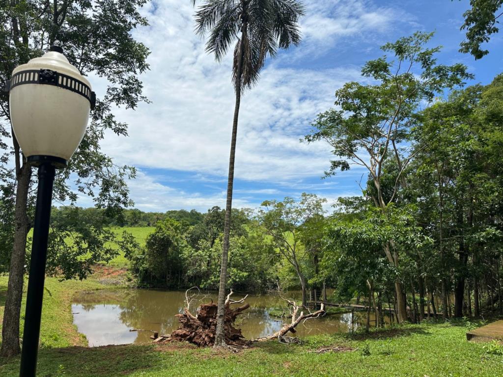 Fazenda à venda com 5 quartos, 67200m² - Foto 13