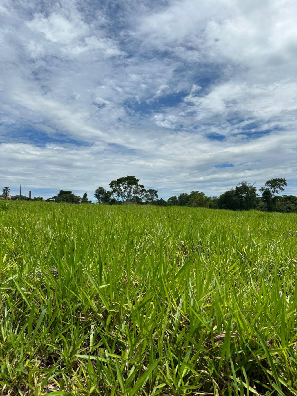 Fazenda à venda com 5 quartos, 67200m² - Foto 5