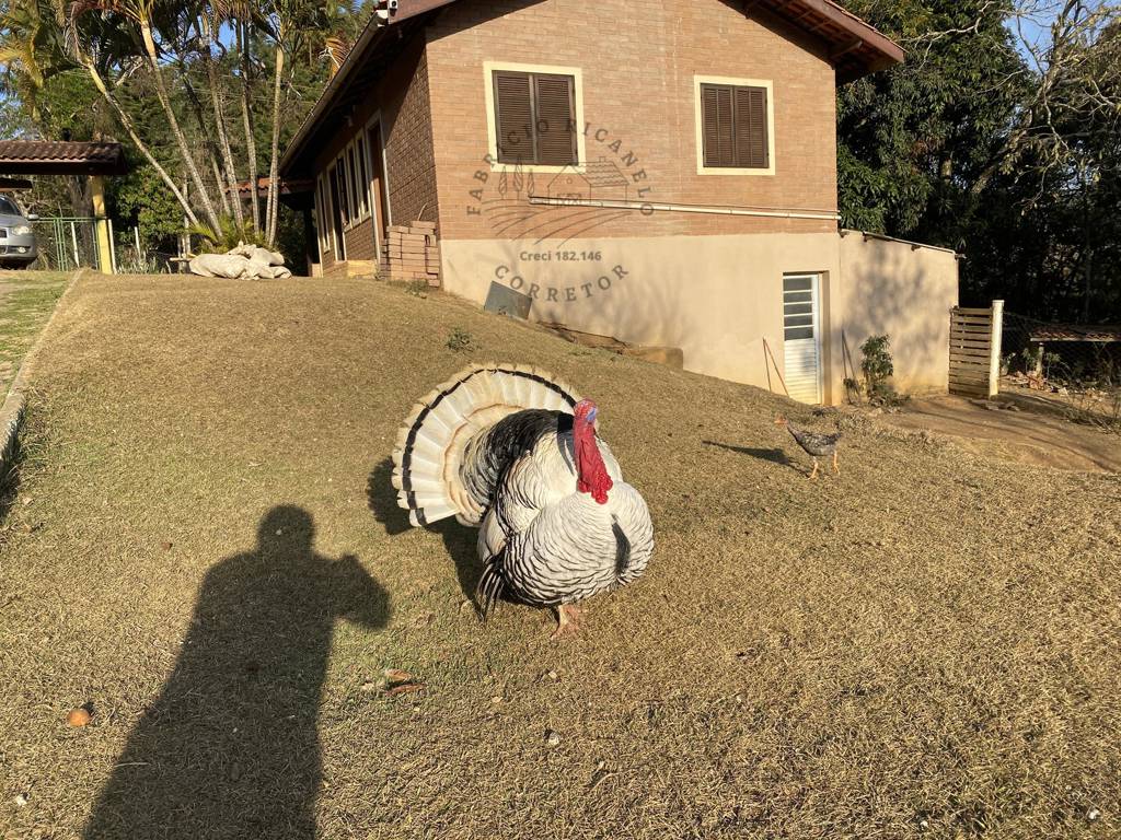 Chácara, 12 quartos, 2 hectares - Foto 10