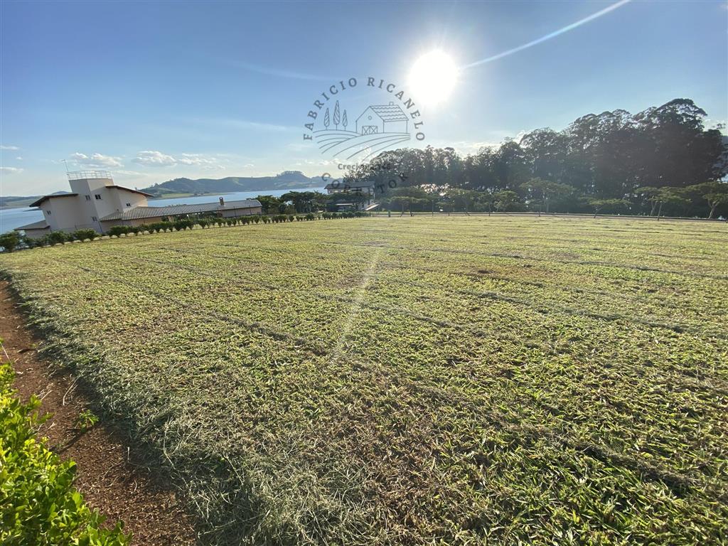 Terreno à venda, 2000m² - Foto 3