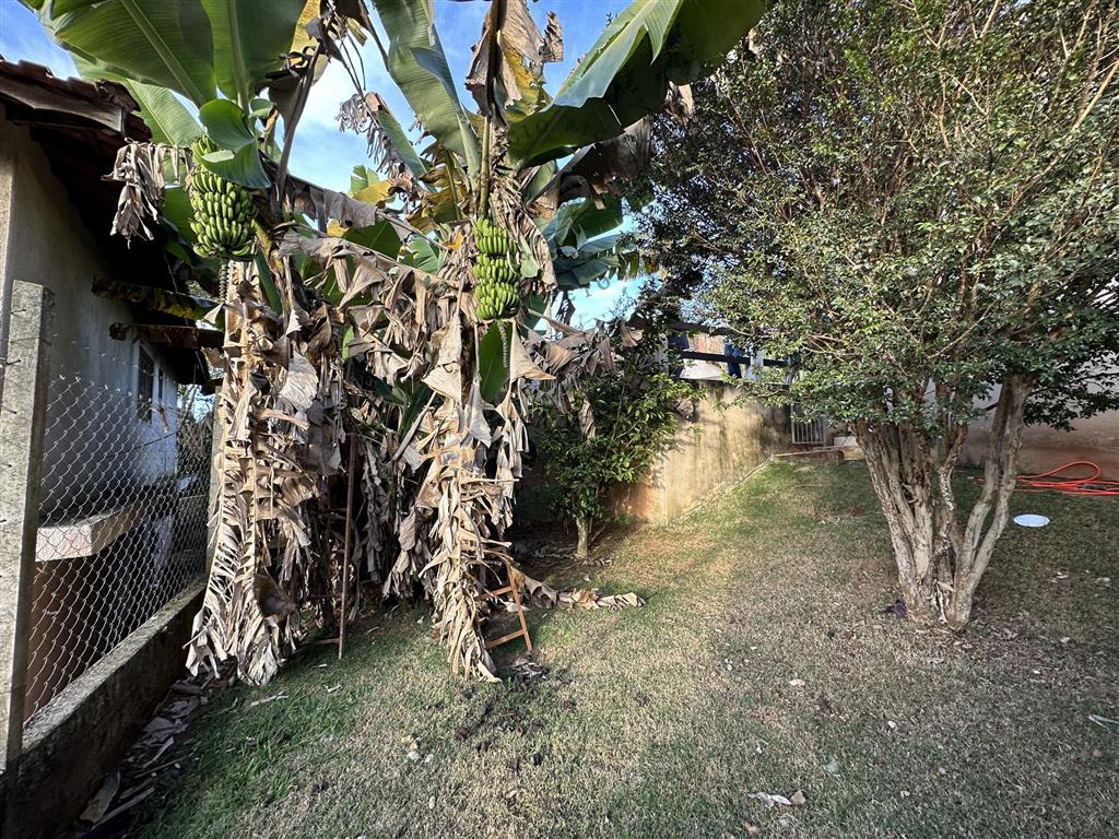 Fazenda à venda com 4 quartos, 1000m² - Foto 30