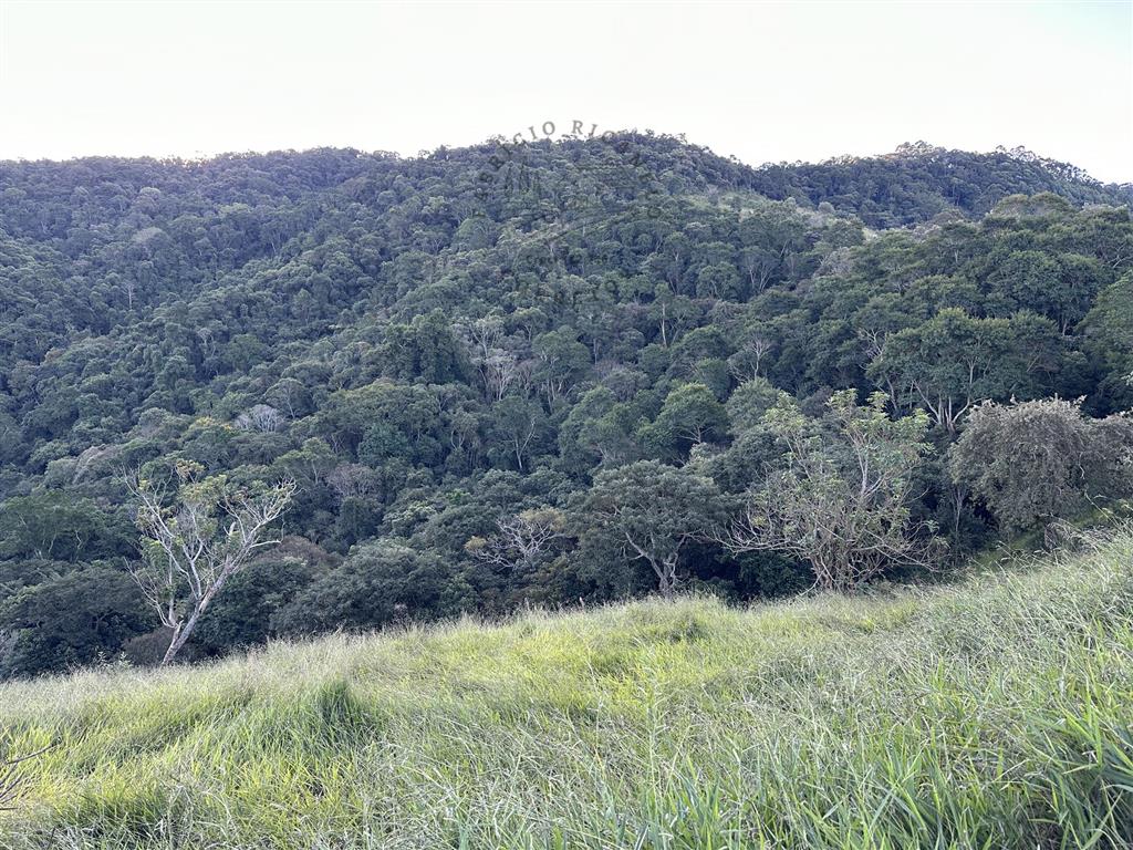 Terreno à venda, 20000m² - Foto 3